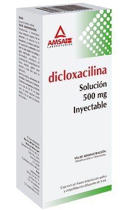 dicloxacilina suspension